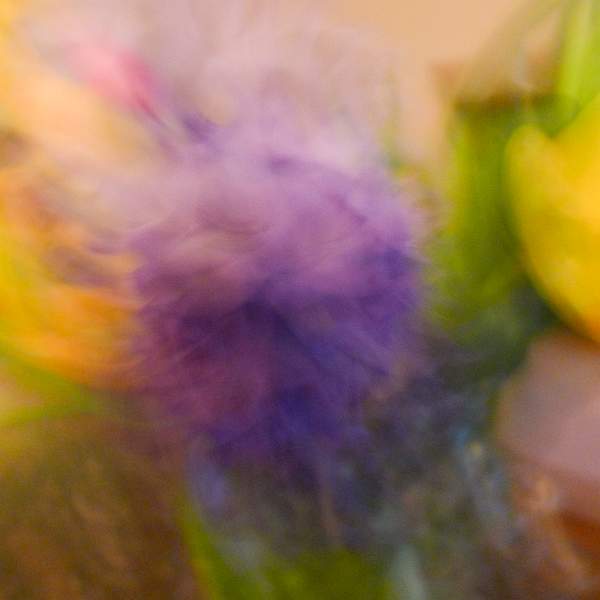 Flowers 3 156-Edit-Edit.jpg